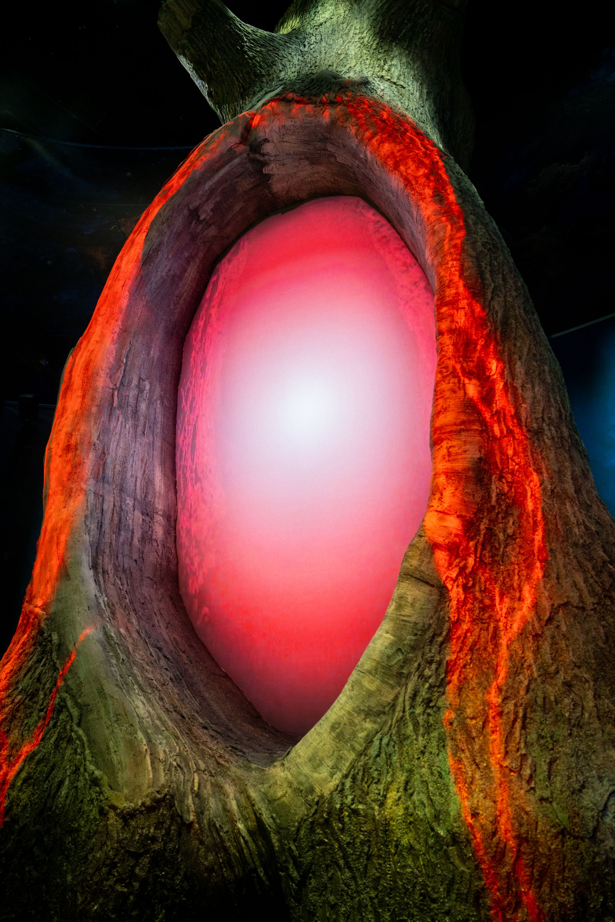 Keltisk mytologi og popkultur