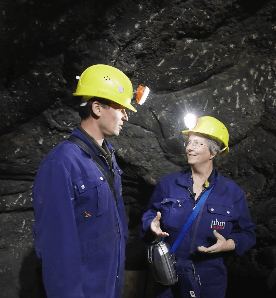 Mini-dokumentar: Kelterne – Europas glemte fortid